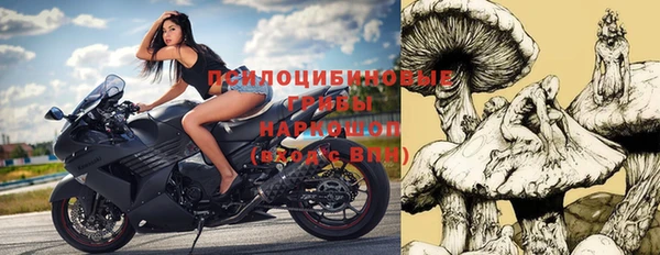 прущие грибы Алзамай