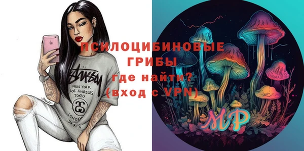 прущие грибы Алзамай