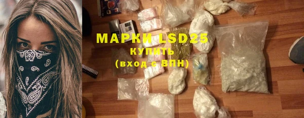 прущие грибы Алзамай